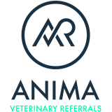 logo anima 2017