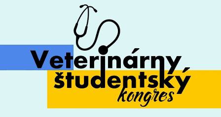 logo VSK web